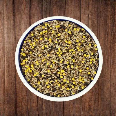 Canary Mixed Seed Food